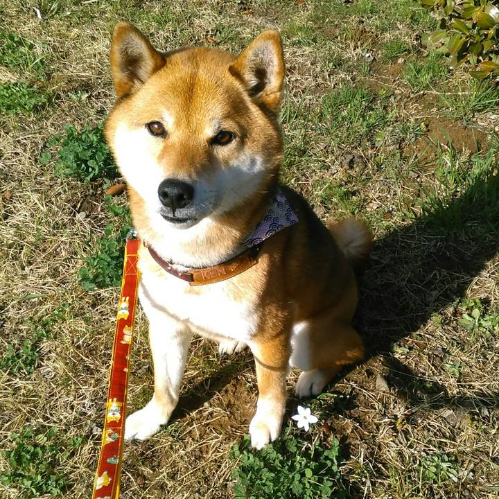 F617386c 3adc 4482 8276 3e492a271615 1521789157752