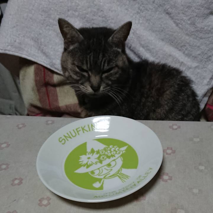 F617667d 0ad6 434a 95b2 4000058d7b95 1552685415827