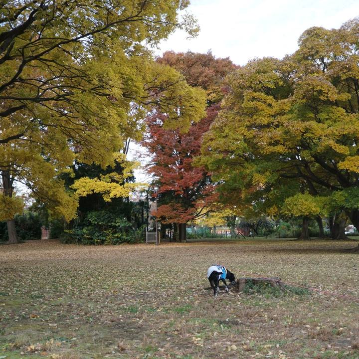 F6178671 a68b 4045 95d3 ad58683c4235 1763432996360