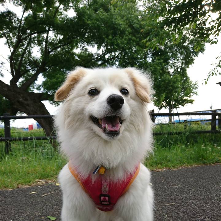 F617a184 c013 42a4 81ca 7dec66158819 1527025910183