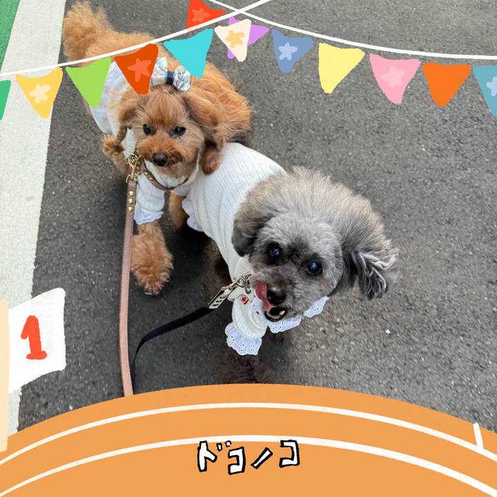 F617b02a 2c8a 4fac 9d9a 022806f4b35a 1761347581966