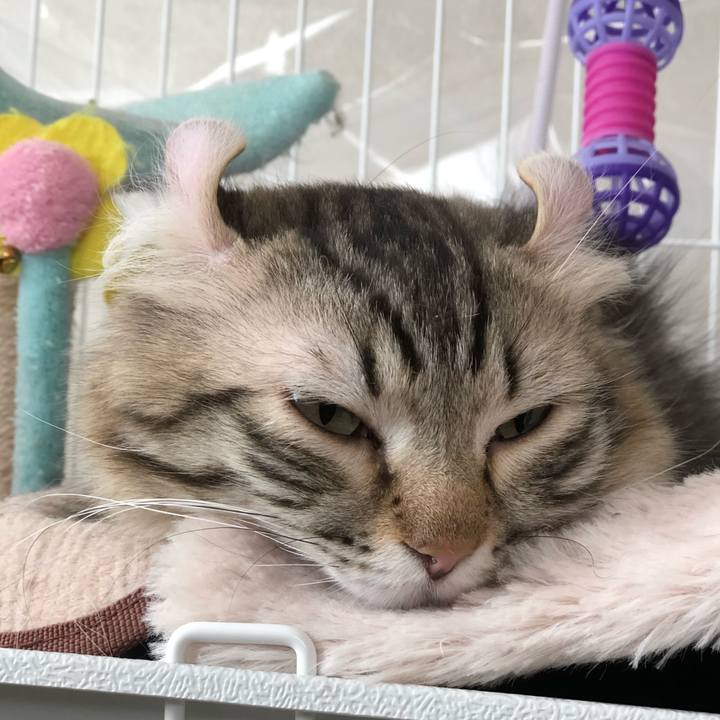 F617b188 40d3 4d04 be08 2919f36a1be8 1518145296385