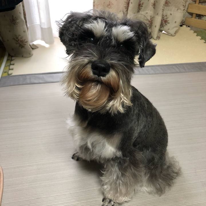 F617bbbb cd40 4338 a37d 06bb0a41ec81 1584256014104