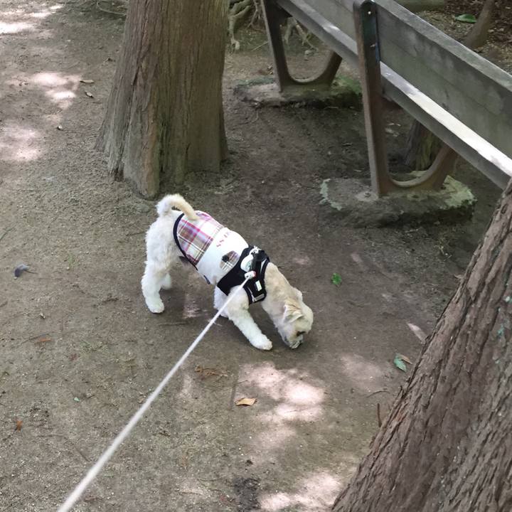 F618001d e14f 48aa 84f0 e78b70d5e249 1534307086798