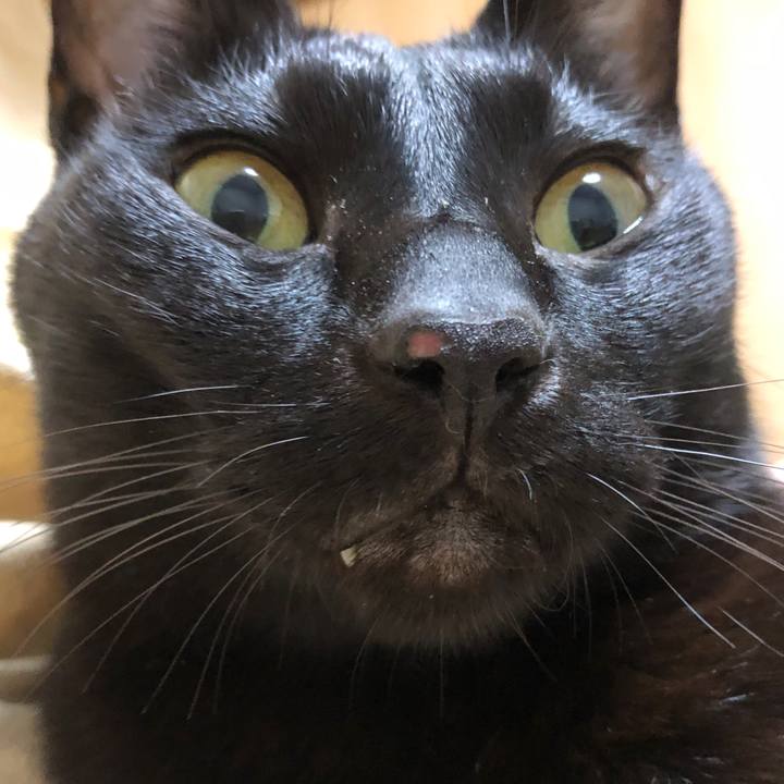 F6182c08 a484 4ee1 a8a7 f948e3f6a54d 1720797566300