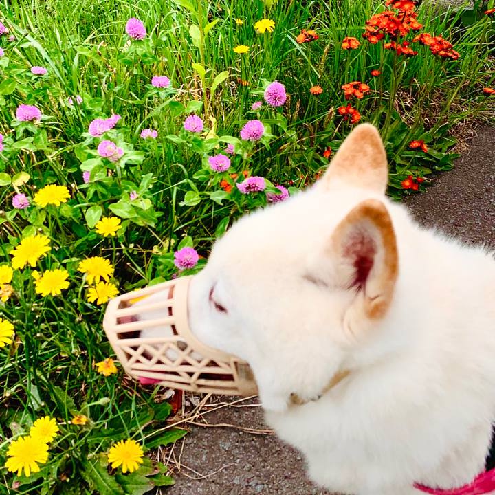 F61834de a8d1 4fd0 9ff2 3ec415138c41 1592512867562