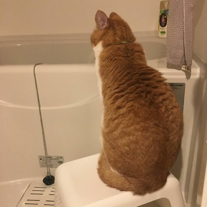 F618751a f7d5 4dff b353 27faf5d1e980 1554982930790