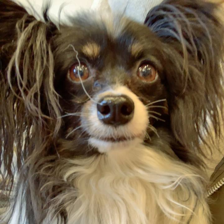 F618a6e5 75d5 4081 add9 62eb23a4b5e5 1553311338712