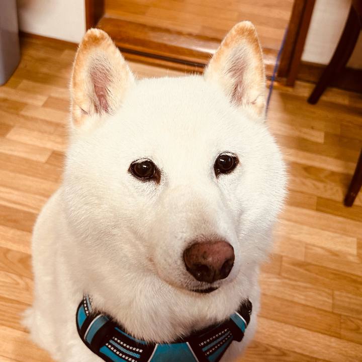 F618aa8d b72e 46dc bd4f 0bc57f198ff7 1684273305357