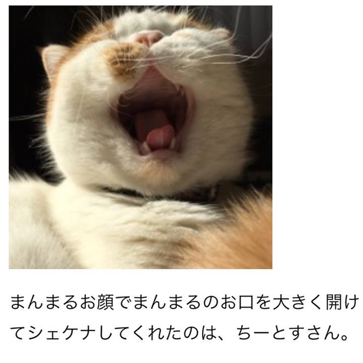 F618b605 880d 4abe b0cc aec1d1b305c5 1512634242416