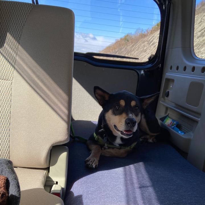 F618c2f8 a336 4b9c 9eb6 2147e4819612 1644145394398