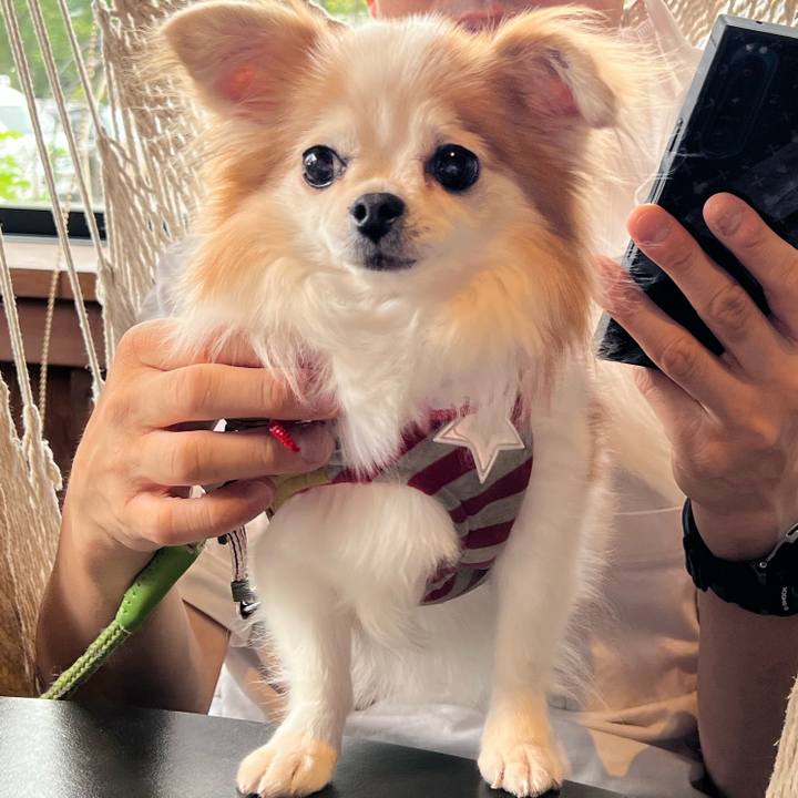 F618f228 ce3d 4982 a726 628f6048bfe2 1660360513348