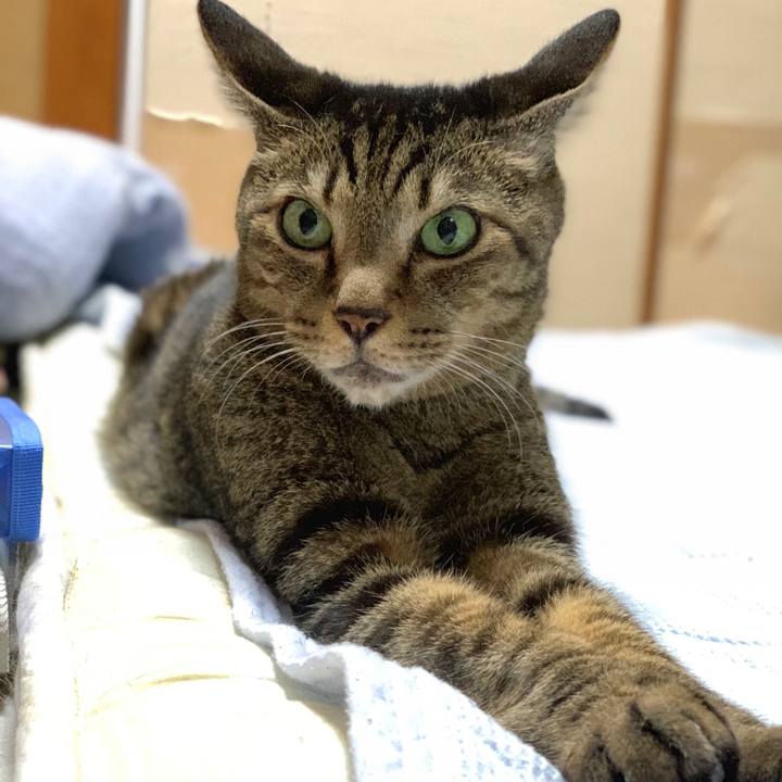 F618f5e8 8107 4c0f b1e5 eaabd3cf37e3 1564532333449