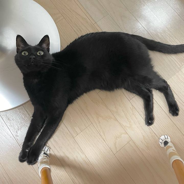 F618f95f f247 4c5b 81ee e1003c68dfb9 1645792450539