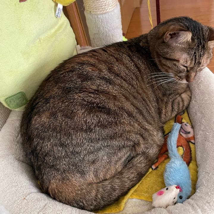 F61948cf 8758 463a ac86 60276aaa7ffe 1634515317210