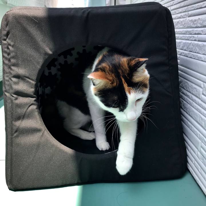 F6196227 6f9f 4736 af7e a5285f1b2562 1528510382070