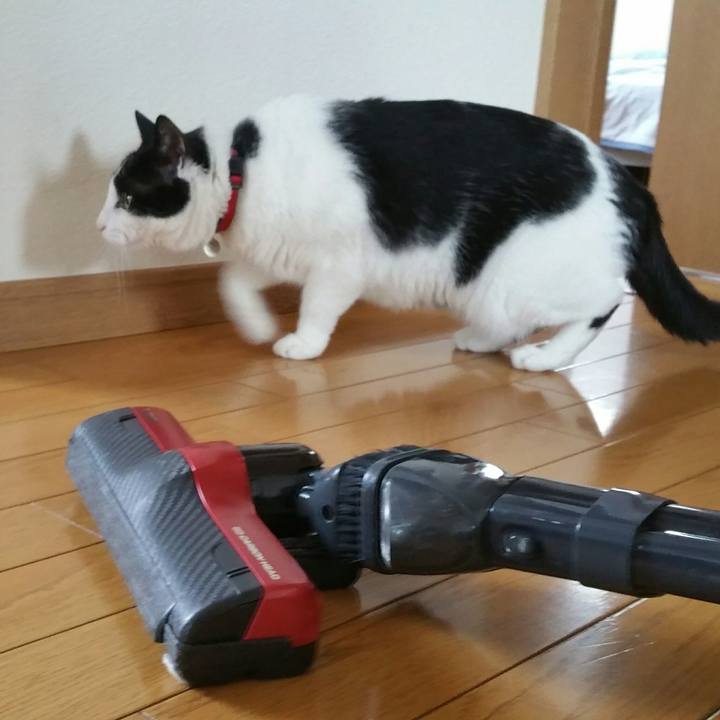 F6196de7 3897 44b9 8cd9 b94d73cb0639 1562204916483