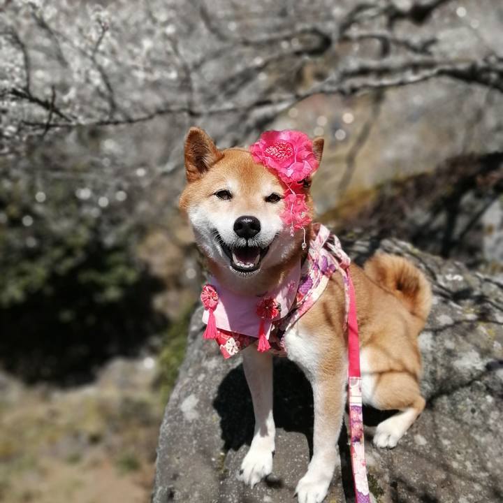 F619ae34 67f3 4bfd b2de 0c51281364c4 1677847704561