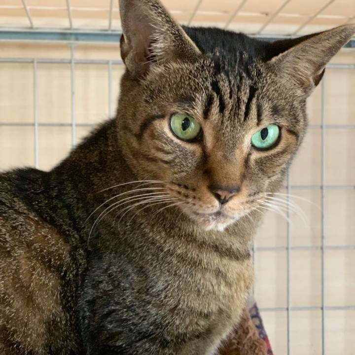 F619b2a1 a04c 4050 9b83 85910907dfab 1550538183021