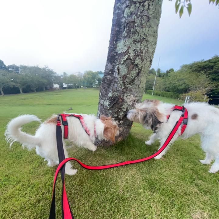 F619cb2a 5192 4928 94f5 fc87780cb1a5 1758085611456