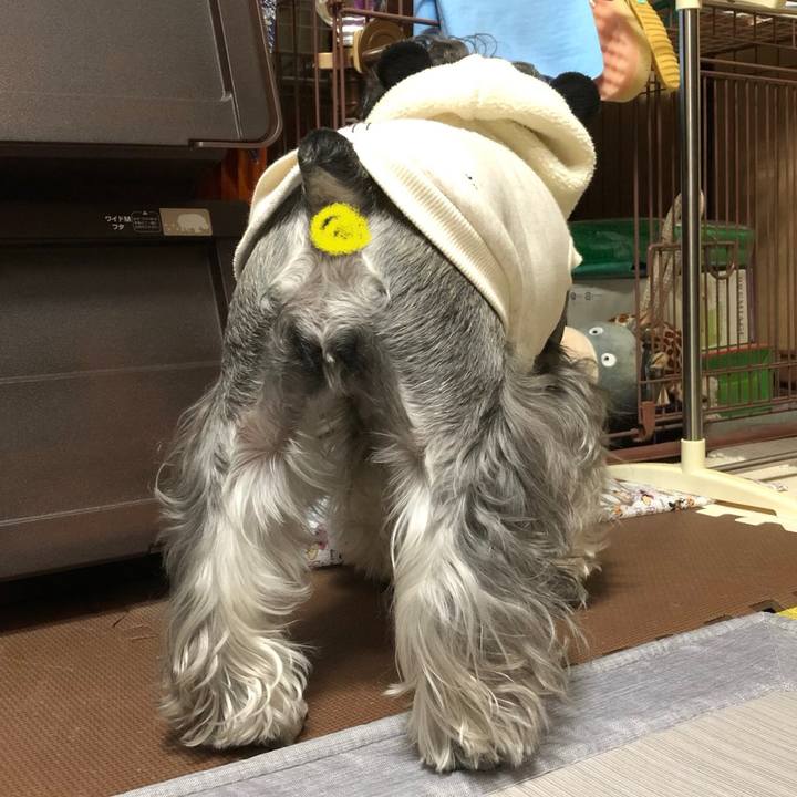 F619d35e 6cac 47c5 b4c6 d8330667af37 1580383559825