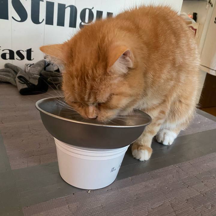 F619fc99 9dfb 4d30 9fee 35319f0ca5b4 1674259525882