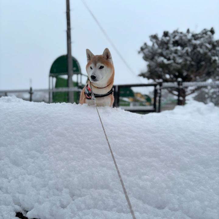 F61a1333 bc94 4fae 8dd5 1fee73ad5660 1738227141390