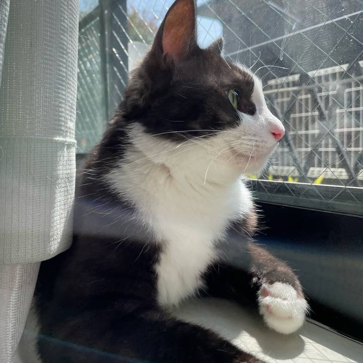 F61a18fd 584d 46b2 a146 37d1d27f3816 1652922423546