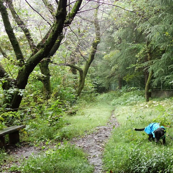 F61a38c0 9b6c 45b1 aa73 b9e96b1478ce 1728342901927