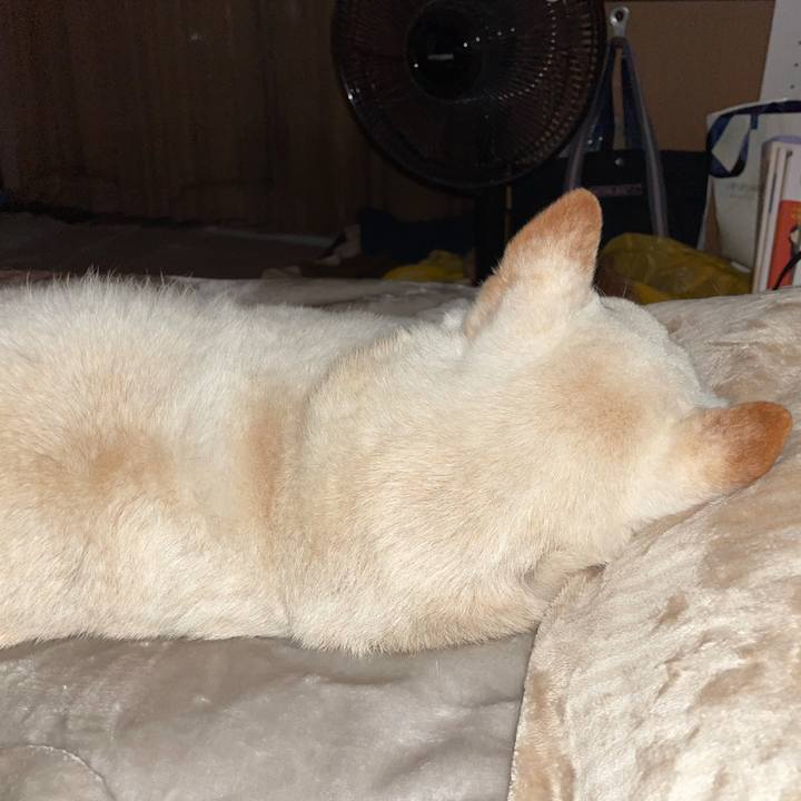 F61a53b7 2f41 4292 98ff c39ad493f8ee 1635088551045