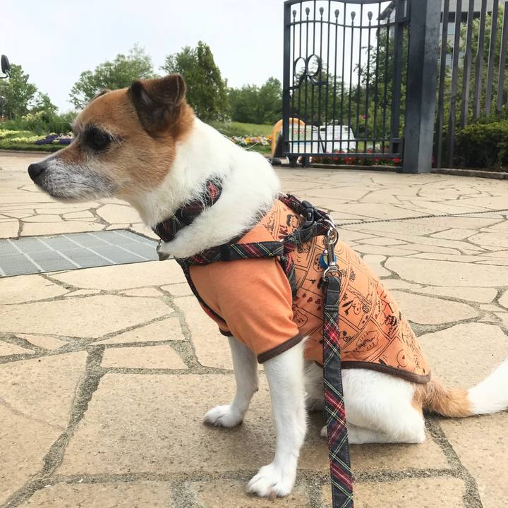 F61a6743 4d54 44d4 8f74 c1fcb7b9115e 1526259558631