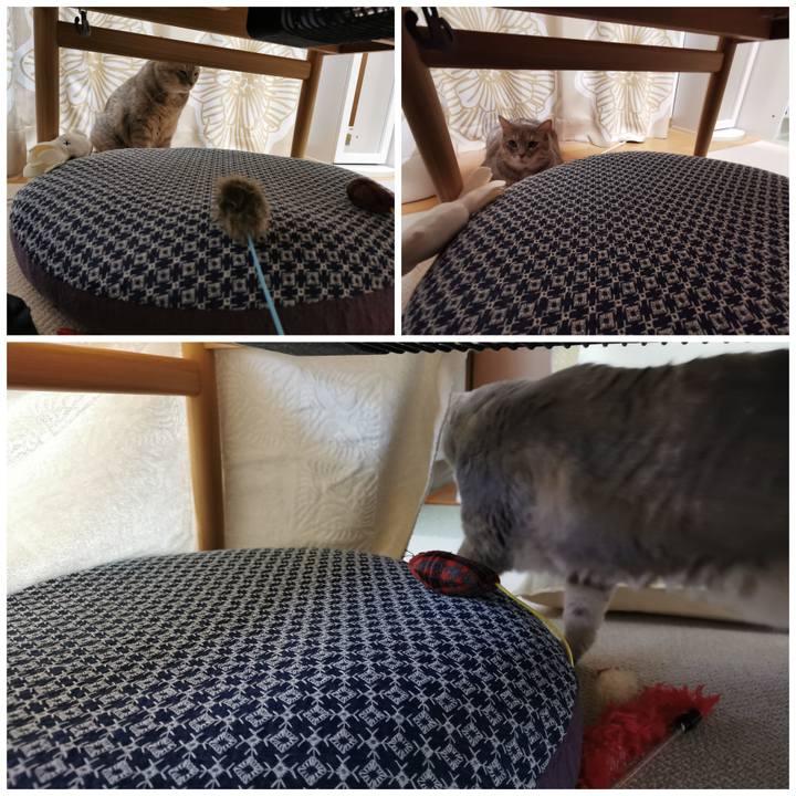 F61a6c77 1aa6 493b bd8c e29edf8201c0 1660538743477