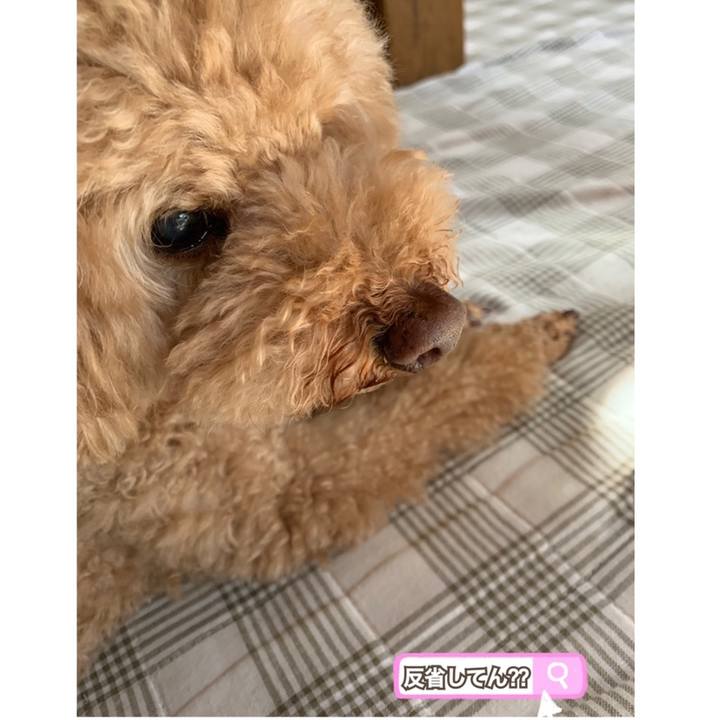 F61a75cc e921 4996 aa6b 5b0f204f56e5 1558219897486