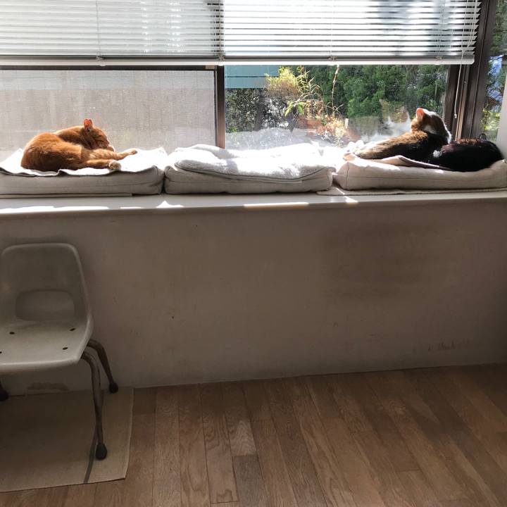 F61a8f5a 51ae 40fa a020 c4444c90ca29 1512618947633