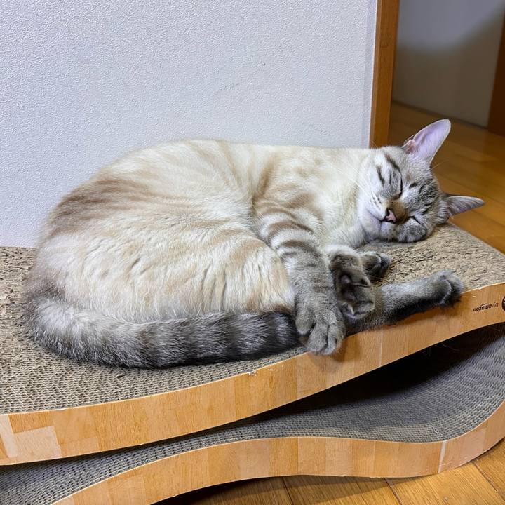 F61aacf4 64ac 488c ab5b 1dd3db7bd68e 1752240632685