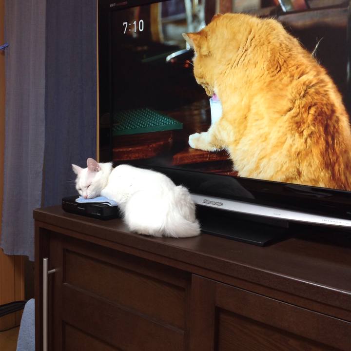 F61aae10 c6bd 4f66 9115 930fae9066ce 1632867305238