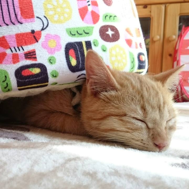 F61ab5e7 c4eb 464e ad15 d8fda0139647 1542945009126