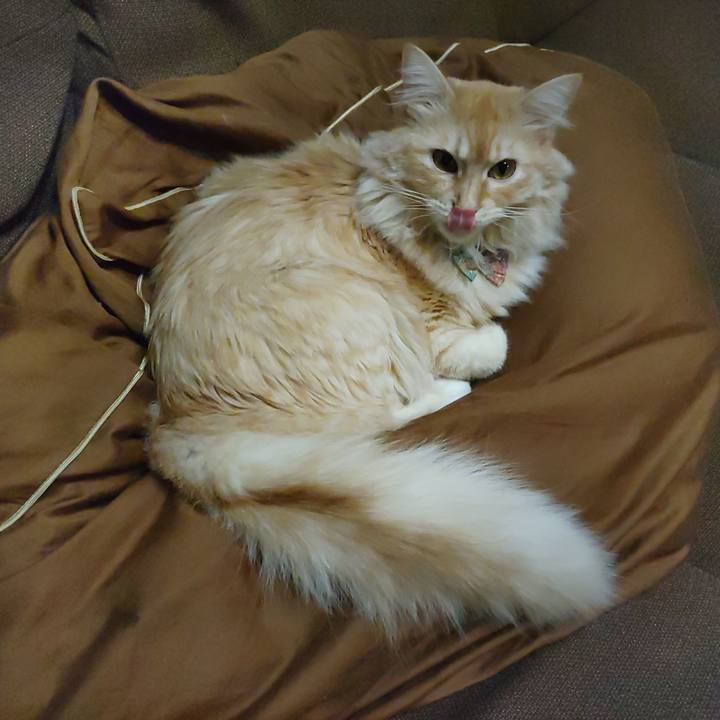 F61ac0b4 169d 49e6 97c3 e4cbafd1ddd0 1659614597693