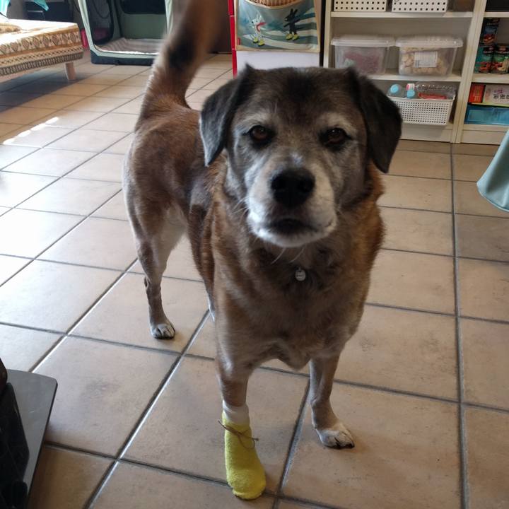 F61ac500 b4ef 4c54 978d d49b7aa2375e 1550648160163