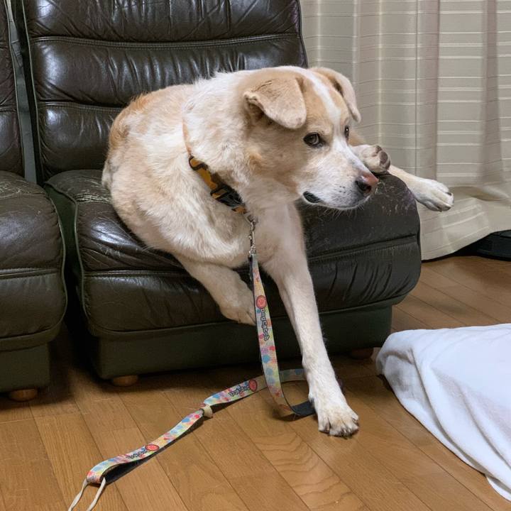 F61ae16d 6be7 496a 8413 3e1b38bd4faa 1595683738378