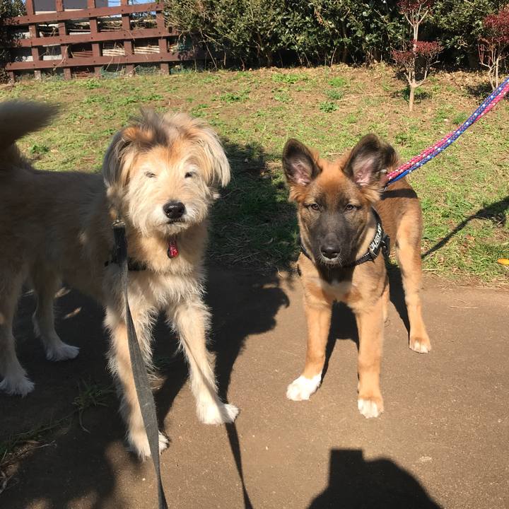 F61b2466 74f3 43d3 917a 976c6f3c1130 1605107557333