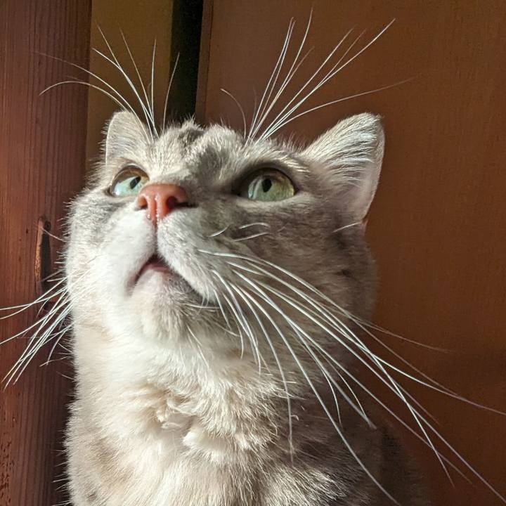 F61b2d26 4558 47b6 bb55 ba5e72f1de78 1699687774190