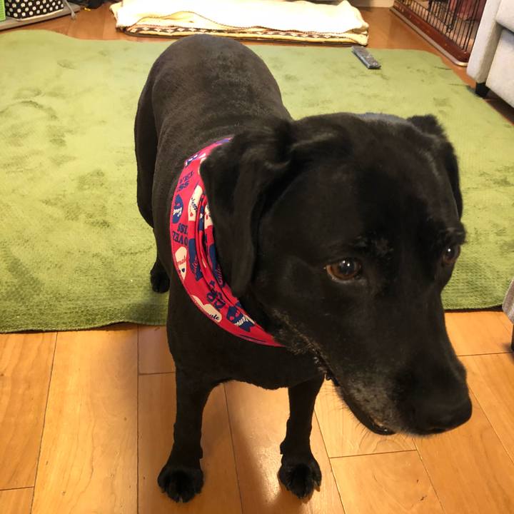 F61b35da bf9a 4812 a9ed 66c22ce49324 1528014414653