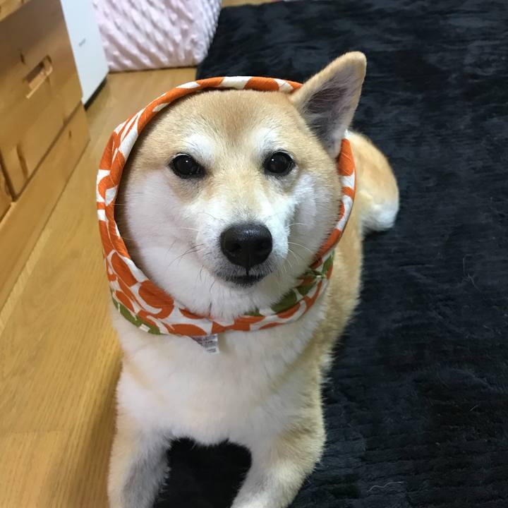 F61b4179 1907 4405 8351 a309c1368bd9 1509799745318