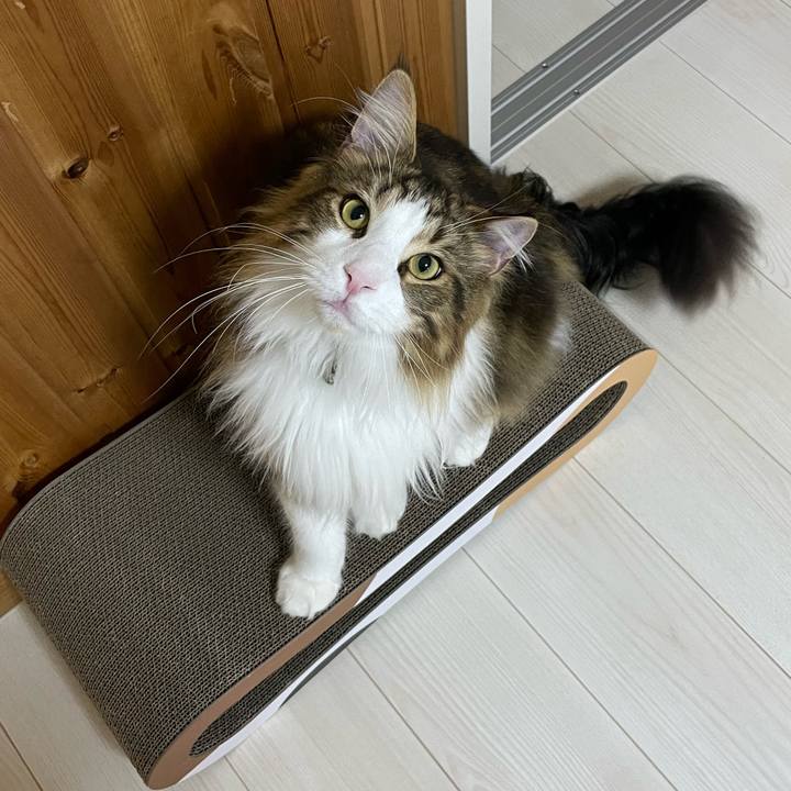 F61b7555 5c3c 466d b65f b0b2cee16b1a 1655471424059