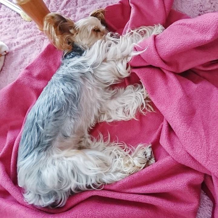 F61b8627 9ac0 4f64 a679 cf91f078f852 1548731297490