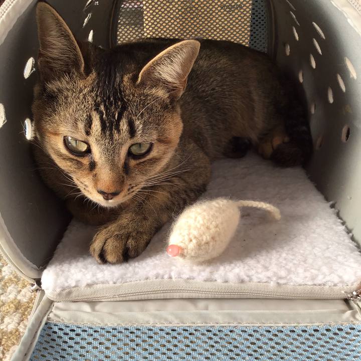 F61b9016 826d 4b10 ba35 6757969fdae3 1577927040316