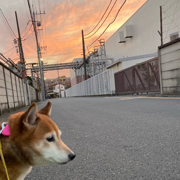 F61b9185 7183 4558 81c6 f1f411ff49e1 1637319308852