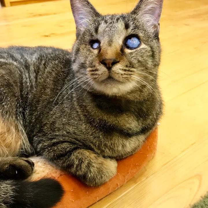 F61bcccb df90 466e 9116 971325628eaa 1559975065362