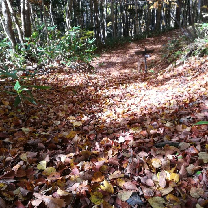 F61bee4e 1019 4a5c 9832 e64e3f59e1bc 1571624185273